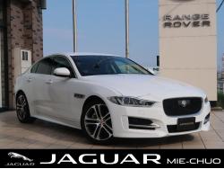 XE XE R-スポーツの中古車画像