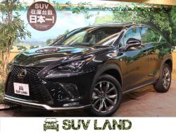 NX NX300 Fスポーツの中古車画像