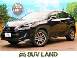 NX NX200t Iパッケージの中古車画像