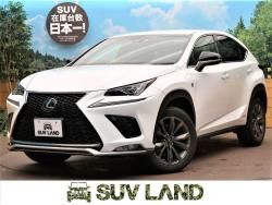 NX NX300h Fスポーツの中古車画像