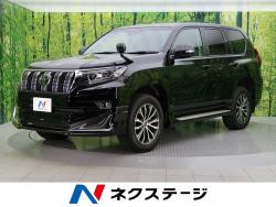 ランドクルーザープラド TX Lパッケージの中古車画像