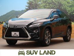 RX RX200tの中古車画像