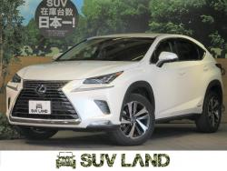 NX NX300h Iパッケージの中古車画像