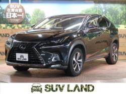 NX NX300 Iパッケージの中古車画像