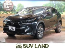 NX NX200t Iパッケージの中古車画像