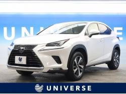 NX NX300h Iパッケージの中古車画像