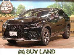 NX NX300 Fスポーツの中古車画像