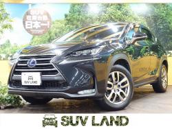 NX NX300h Iパッケージの中古車画像