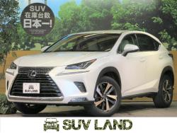 NX NX300 Iパッケージの中古車画像