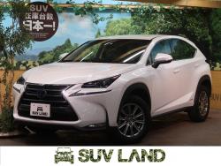NX NX300h Iパッケージの中古車画像