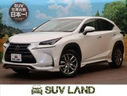 NX NX200t Iパッケージの中古車画像