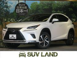 NX NX300 バージョンLの中古車画像