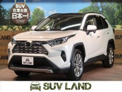 RAV4 G Zパッケージの中古車画像