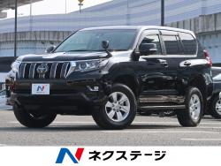 ランドクルーザープラド TXの中古車画像