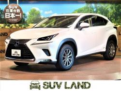 NX NX300h Iパッケージの中古車画像