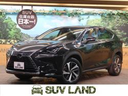 NX NX300 バージョンLの中古車画像