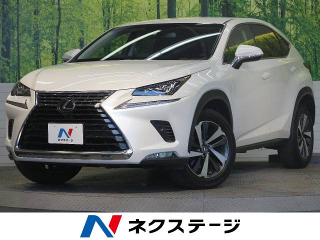 レクサス ｎｘ ｎｘ３００ ｉパッケージ 1 3万km 福岡県 3 の中古車詳細 福岡県の博多ｓｕｖ専門店 新車 中古車の ネクステージ