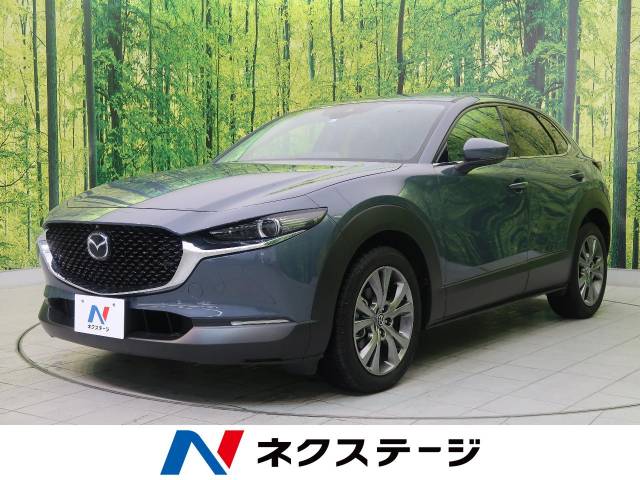 マツダ ｃｘ ３０ ｘ プロアクティブ ツーリングセレクション 0 2万km 岩手県 322 の中古車詳細 岩手県の盛岡店 新車 中古車 の ネクステージ