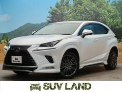 NX NX300h バージョンLの中古車画像