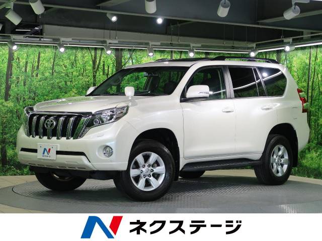 正規販売代理店 ランドクルーザープラド ランクルプラド 型式 150系 年式 H21 9 定員5人専用 専用段差マットセット仕様 マットサイズ 173cmx135cm Shinke シンケ 車中泊 フルフラットシート上クッションマット ダブル低反発クッション 合皮