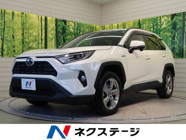トヨタ ＲＡＶ４ ハイブリッドＸ 2.1万Km (愛知県)[645]の中古車詳細 