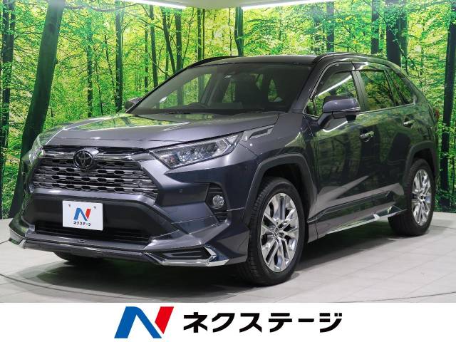 Offクーポンあり トヨタ 純正オプション ダウンサス 30系rav4 ヴァンガード用 モデリスタ 決算セール 自動車 オートバイ Rspg Spectrum Eu