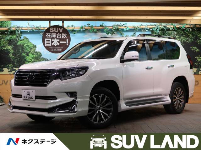 サン自動車 タグマスター ヒッチメンバー STD ランドクルーザー プラド ...