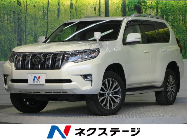 プラド 150 中期 DO ルーフレール シルバー