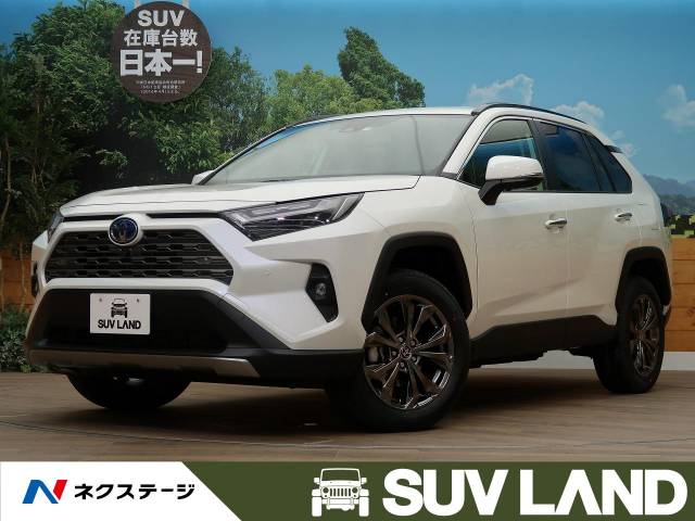 ドメイン マサッチョ ショップ ラブ 4 新古 車 ハイブリッド フィヨルド トランスミッション 眠っている