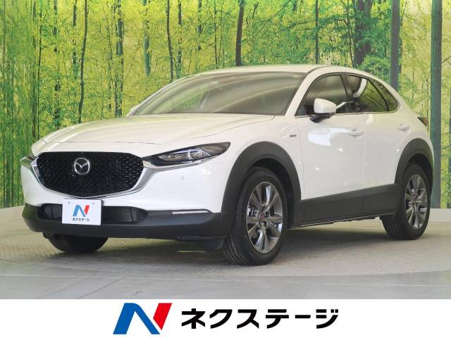 cx 30 特別 限定 20s 100周年特別記念車 マツダ 6at のカタログ詳細情報 新車 中古車の ネクステージ cx 30 特別 限定 20s 100周年特別記念車 マツダ 6at のカタログ詳細情報 新車 中古車の ネクステージ