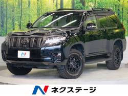 ランドクルーザープラド TX Lパッケージの中古車画像