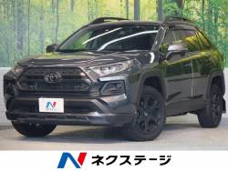 RAV4 アドベンチャー オフロードパッケージの中古車画像