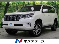 ランドクルーザープラド TX Lパッケージの中古車画像