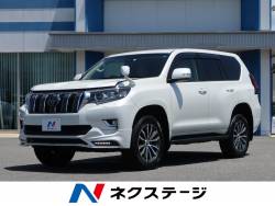 ランドクルーザープラド TX Lパッケージの中古車画像