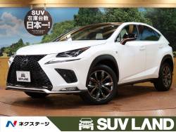 NX NX300 Fスポーツの中古車画像