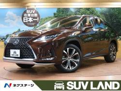 RX RX300 バージョンLの中古車画像
