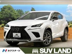 NX NX300 Fスポーツの中古車画像