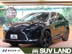 RX RX300 バージョンLの中古車画像
