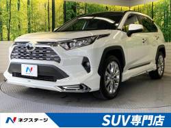 RAV4 G Zパッケージの中古車画像