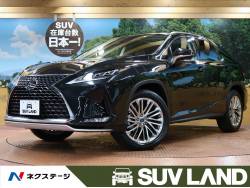 RX RX300 バージョンLの中古車画像