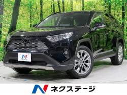 RAV4 G Zパッケージの中古車画像