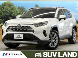 RAV4 G Zパッケージの中古車画像