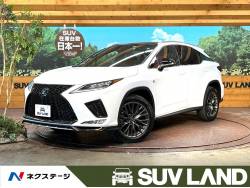 RX RX300 Fスポーツの中古車画像