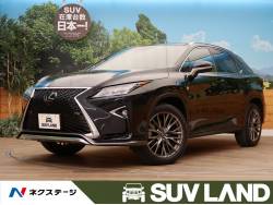 RX RX300 Fスポーツの中古車画像