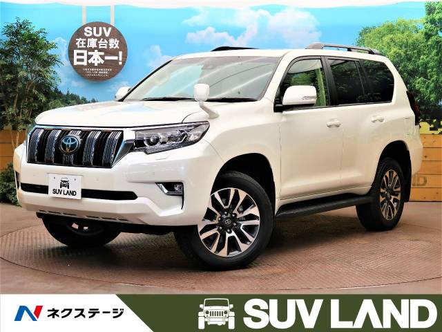 トヨタ純正 ランドクルーザープラド全グレード サイクルホルダー Www Limfmsu Com
