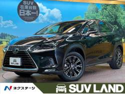 NX NX300h Iパッケージの中古車画像