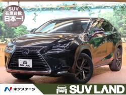 NX NX300h バージョンLの中古車画像