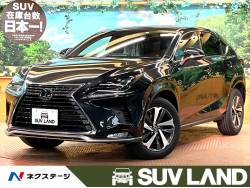 NX NX300 特別仕様車 スパイス&シック プリクラッシュセーフティー レーダークルーズ 純正10型ナビ バックカメラ ヘッドレストモニター 黒革 ベンチレーション メモリーシート 三眼LED&フォグ オートハイビーム 純正18AW NX NX300 特別仕様車 スパイス&シック プリクラッシュセーフティー レーダークルーズ 純正10型ナビ バックカメラ ヘッドレストモニター 黒革 ベンチレーション メモリーシート 三眼LED&フォグ オートハイビーム 純正18AWの中古車画像