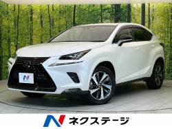 NX NX300 特別仕様車 ブラックシークエンスの中古車画像