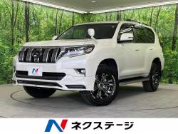 ランドクルーザープラド TXの中古車画像